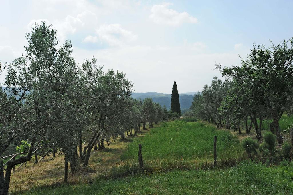 Borgo Rapale Villa Exteriör bild